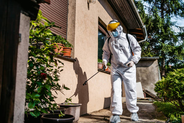 Best Pest Removal Services  in Osseo, WI