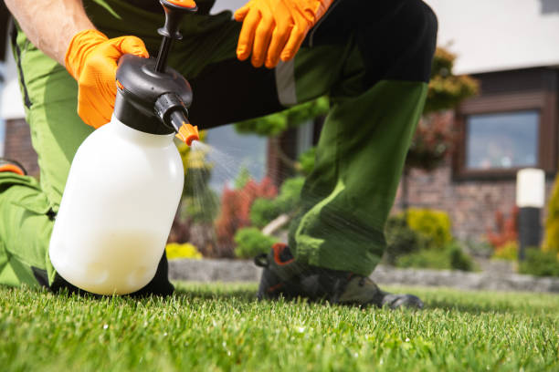 Best Wasp Removal Services  in Osseo, WI