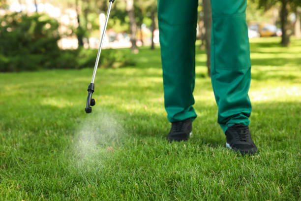 Best Pest Prevention Services  in Osseo, WI