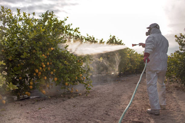 Best Rat Extermination Near Me  in Osseo, WI