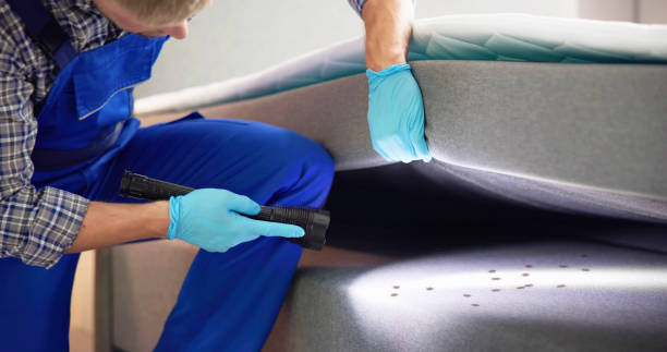 Best Best Pest Control Companies  in Osseo, WI
