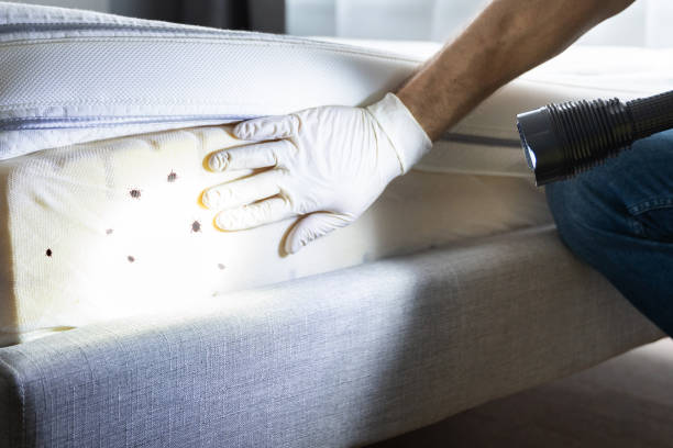 Wildlife Control Services in Osseo, WI