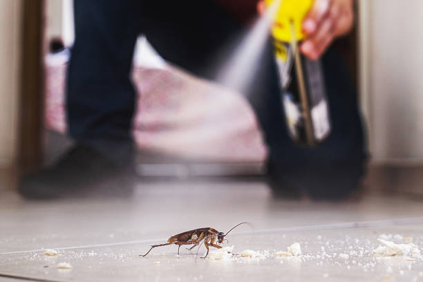Reliable Osseo, WI Pest Control Solutions