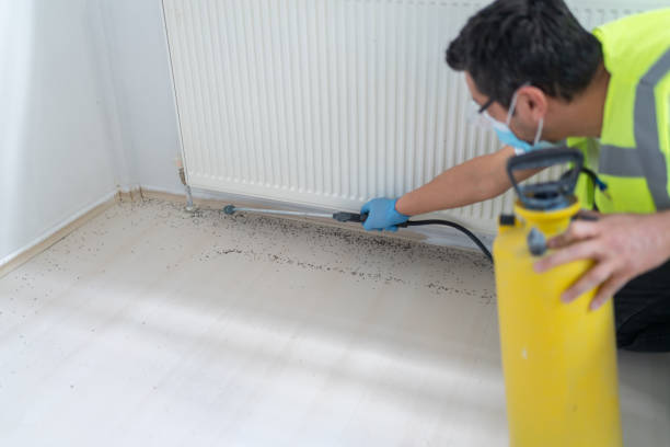 Best Local Pest Control Services  in Osseo, WI
