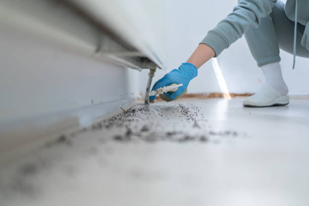 Best Bird Control  in Osseo, WI