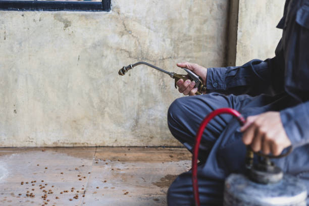 Best Affordable Exterminators  in Osseo, WI